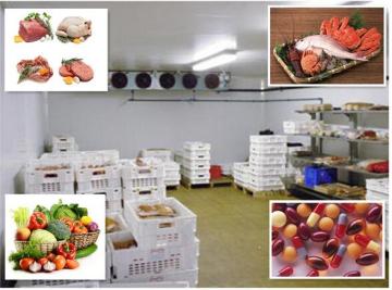 Meat Processing Blast Freezer Cold Room Project