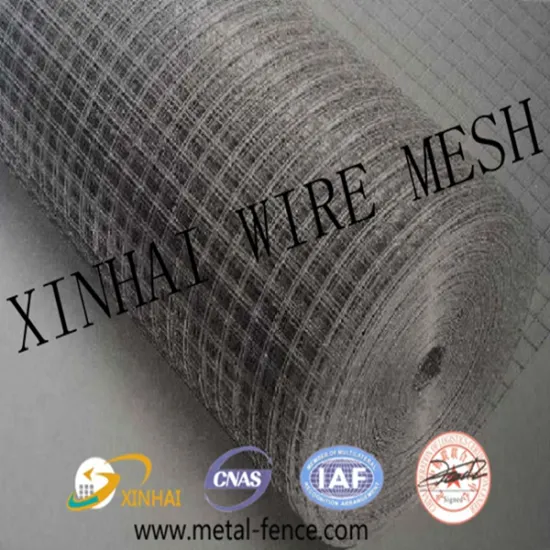 Welded wire mesh / Galvanized welded wire panel /Biggest Welded Wire Mesh Panel Manufacturer in Anping