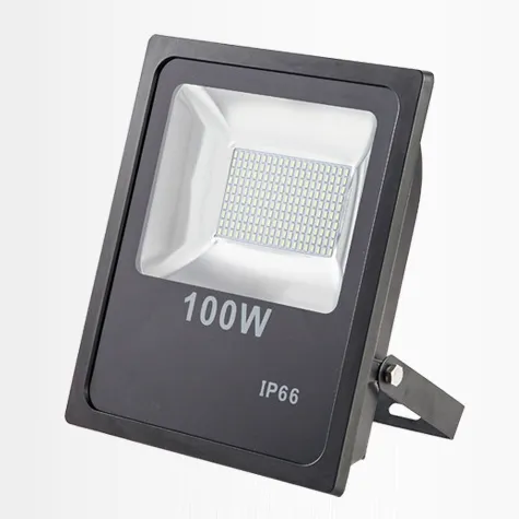 12V/220V/240V SMD LED Flood Lights - 50W/100W Waterproof Outdoor IP66