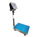 150kg / 300kg LED LCD Customizable Size Stainless Steel Digital Platform Scale