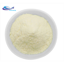 Hot sale ginseng extract ginseng powder