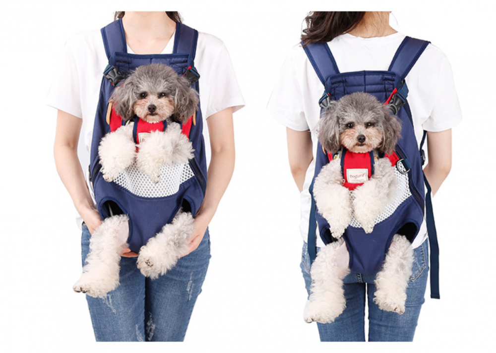 Pet Carrier Southwest