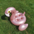 Luchd-gleidhidh deoch infladable flamingo pinc pinc