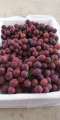 Rode pitloze druivenvoeding