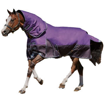 ارتفاع نسبة إقبال حصان في الرقبة بطانية حصان مقاوم للماء