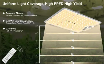 300W LED Growth Lights For Indoor Plants