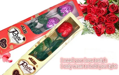 18g chocolate/chocolate candy/Hollow Rose Chocolate/chocolate prices
