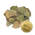 GMP Factory Ginkgo Biloba Extrakt