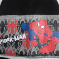Spider-Man Hat Neck Scarf Gloves Set
