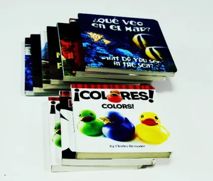 Children Learn board book