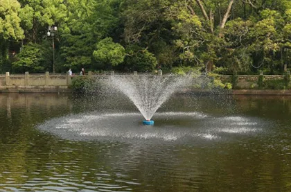 Electric Powered 0.75kw Outdoor Aquaculture Fish Pond Oxygen Aerators for Shrimp Farming and Floating Fountains