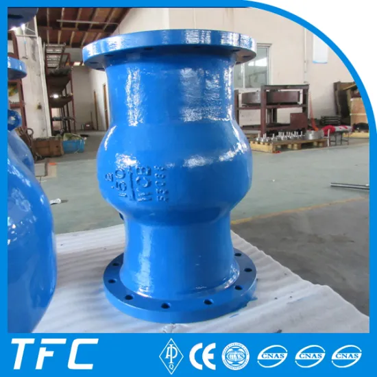 axial flow nozzle check valve