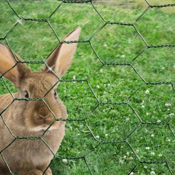 Best Price Galvanized Hexagonal Wire For Rabbits