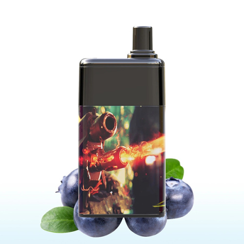 Các hương vị khác nhau dùng một lần 6500puffs Vape Pod