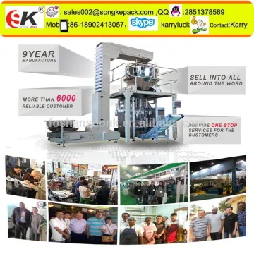 SK-220DT Vertical Automatic Vertical Potato chips Packing Machine/Banana chips snack packing machine