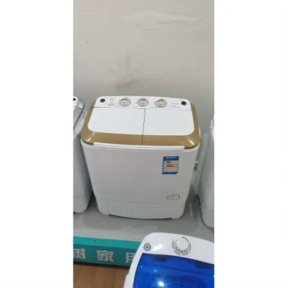 Double bucket mini washing machine
