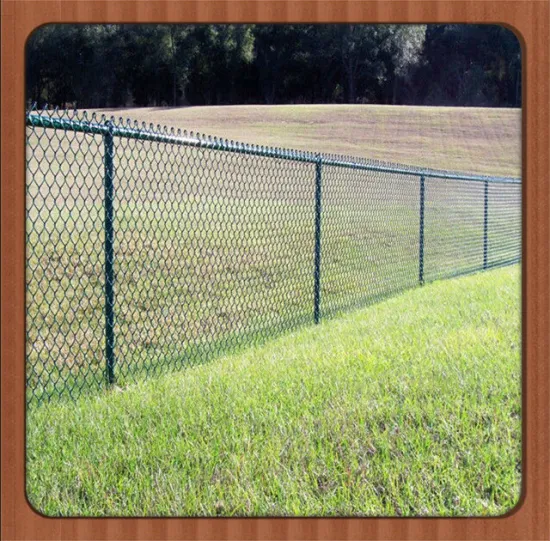 Stainless steel wire chain link fence