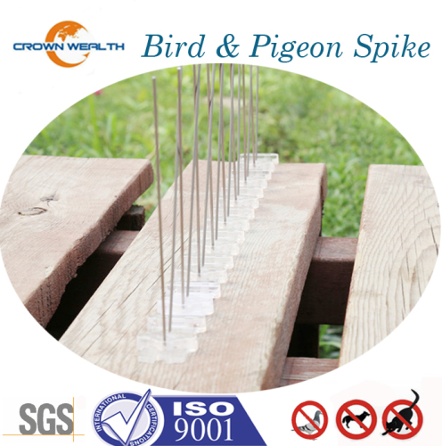 Bird Spike Pigeon Protection Spikes