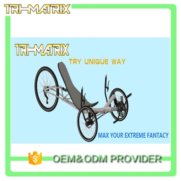 Classical design best sell cheap price recumbent trike