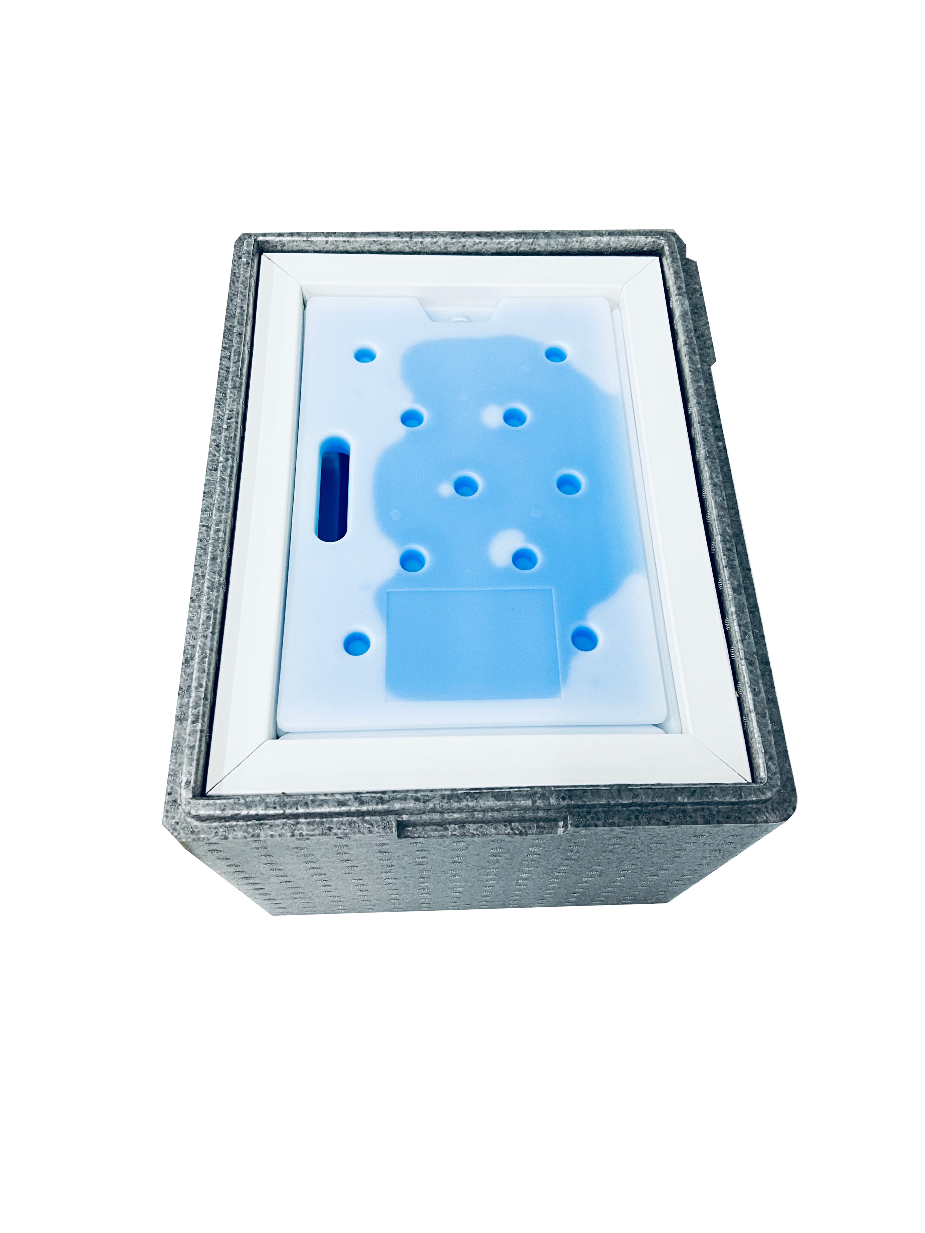 EPP Vaccine Storage VIP Insulated Cooler Shipping Box Manufacturers ...