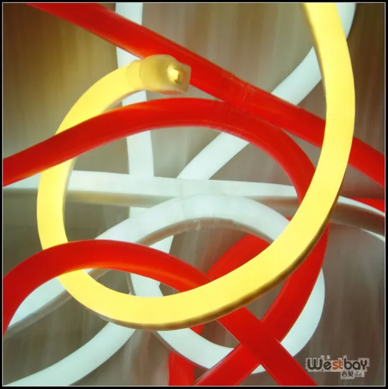 12V 24V 110V 240V LED Neon for Illuminating Signs