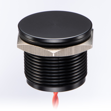 वॉटरप्रूफ IP65/IP68 मोमेंट्री पुश बटन स्विच एलईडी लाइट के साथ, 12V-36V DC