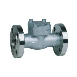 Cast Steel Swing Check Valve