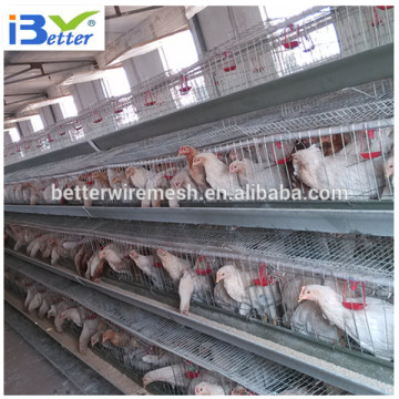 BETTER FACTORY 2015 new design high quality chicken cages for poultry farms( factory price)