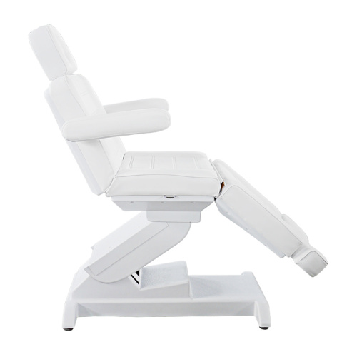 Elegence Salon Equipment электрическая лицевая кровать saling TS-2127