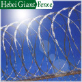 Hot Dipped Galvanized Razor Barbed Wire