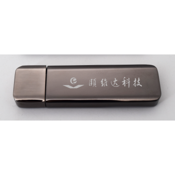 Fingerprint Flash U drive