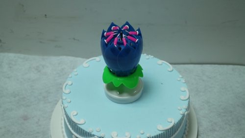 Rainbow 14 Little Lotus Birthday Music Flower Candle