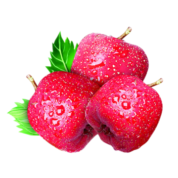 Hawthorn Berry Extract Powder