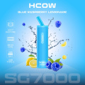 Bulk-buy Cheap Price Vape Hcow Sg 7000 Puffs