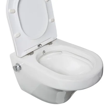 Good Material Sanitary Ware Bathroom Sprayer