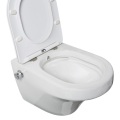 Bathroom Combination Wall-hung Toilet Bidet