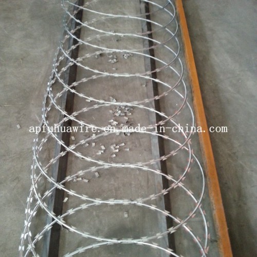 Stainless Steel Razor Wire