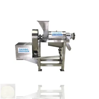 High Quality Fruit & Vegetable Juicer Machine - Ginger Juicer Machine Price