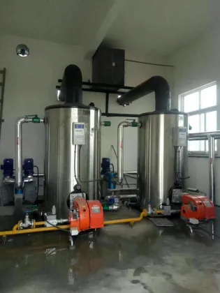 Zhongfei Boiler: Small Automatic Portable Steam Generator Steam Boiler Coverage