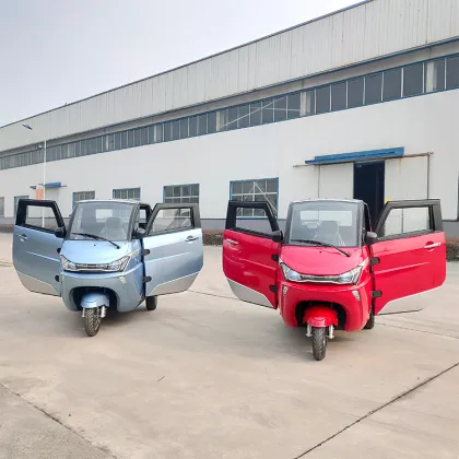 EEC Certified Senior Mobility Scooter with Lithium Battery and Cabin for Sale