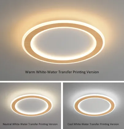 Pop Promotional Acrylic Ceiling Light Fitting - LED Ceiling Mount Lighting