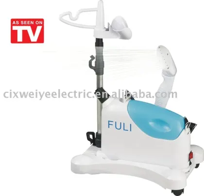 Electric steamer