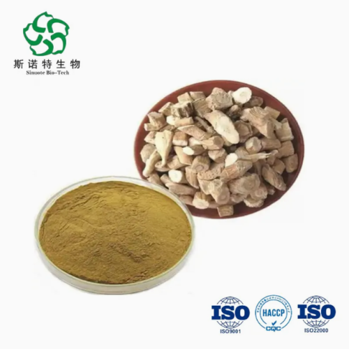 Natural Isatis Root Extract Powder Radix Isatidis Extract