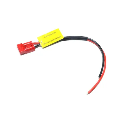 Anderson 2Pin 10A New Energy Car Plug