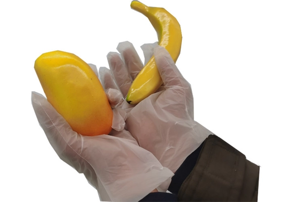 Clear Biodegradable Cornstarch Food Service Plastic Gloves