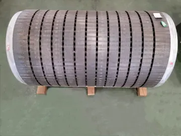 Motor stator rotor iron core aluminum die casting