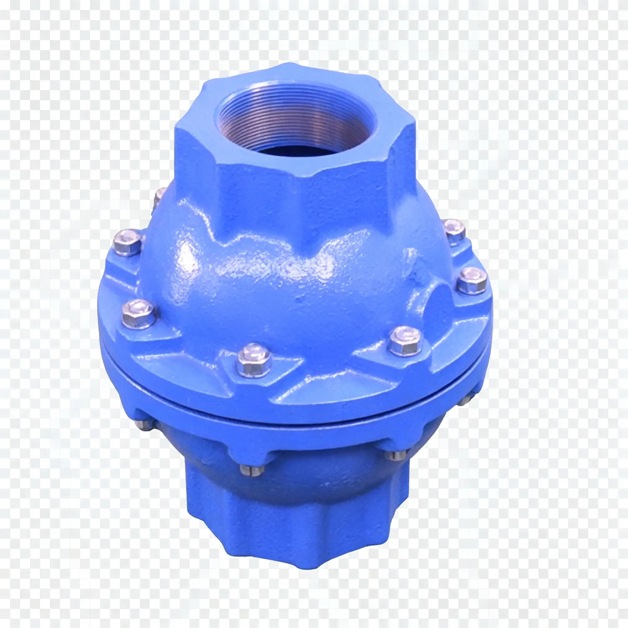 Check Valve