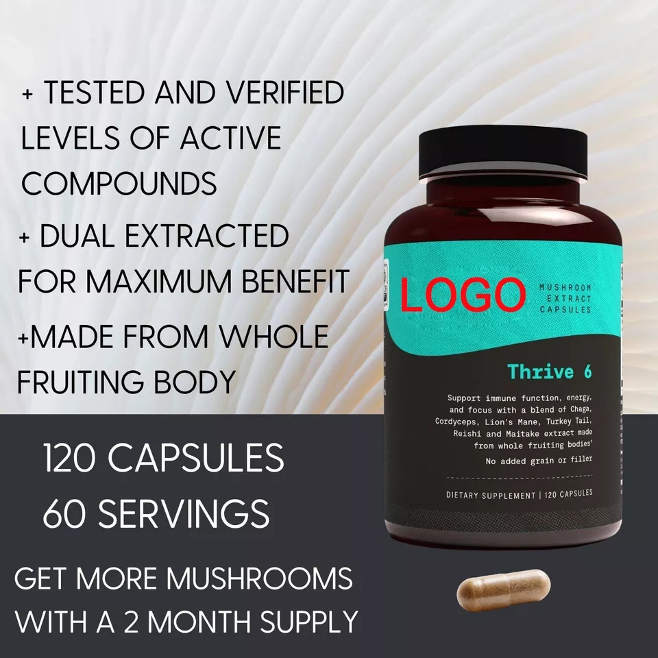 Private Label Nootropic Ginkgo biloba Bacopa monnieri Mushroom capsules Vegan DHA Brain Booster Supplements capsules