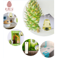 Pine cone essencial oil  fresh plant aroma