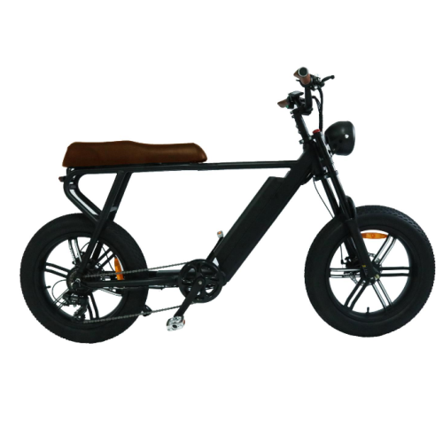 step through vintage high speed electric bicycle